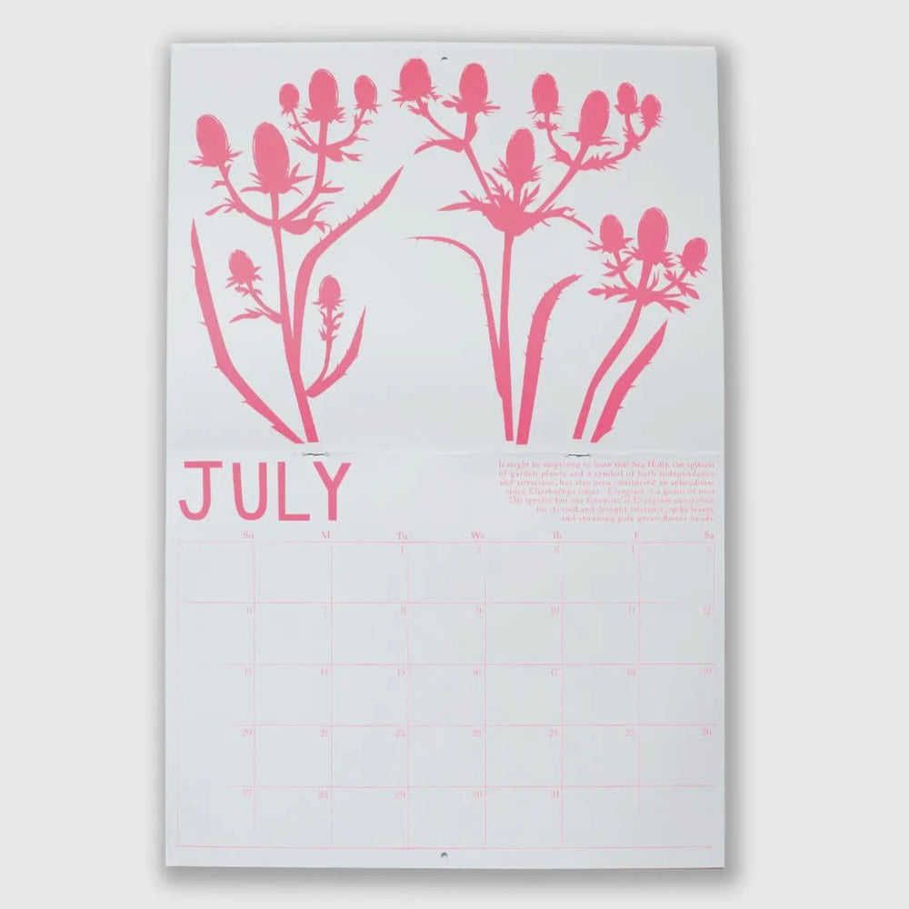 
                  
                    Drought Tolerant Plants 2025 Wall Calendar
                  
                