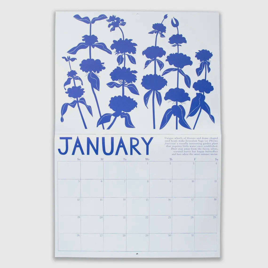 
                  
                    Drought Tolerant Plants 2025 Wall Calendar
                  
                