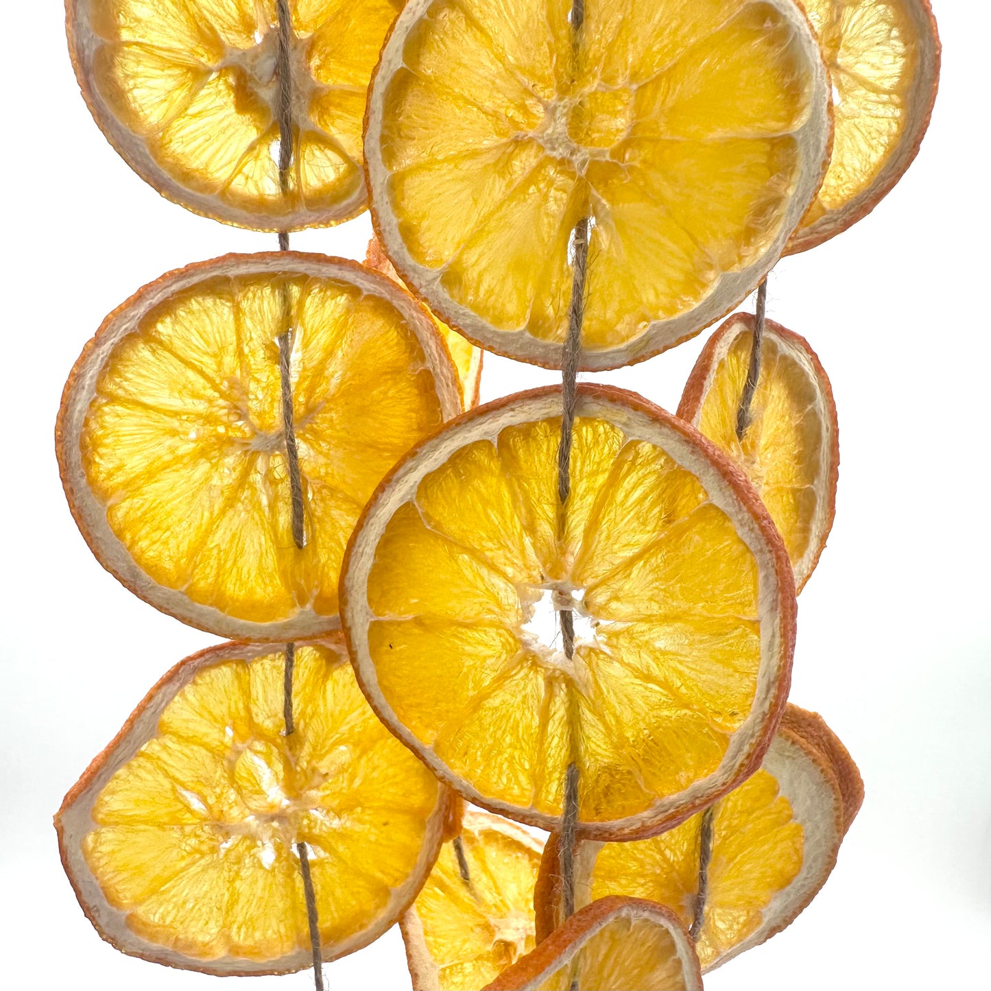 
                  
                    Dried Citrus Garland
                  
                