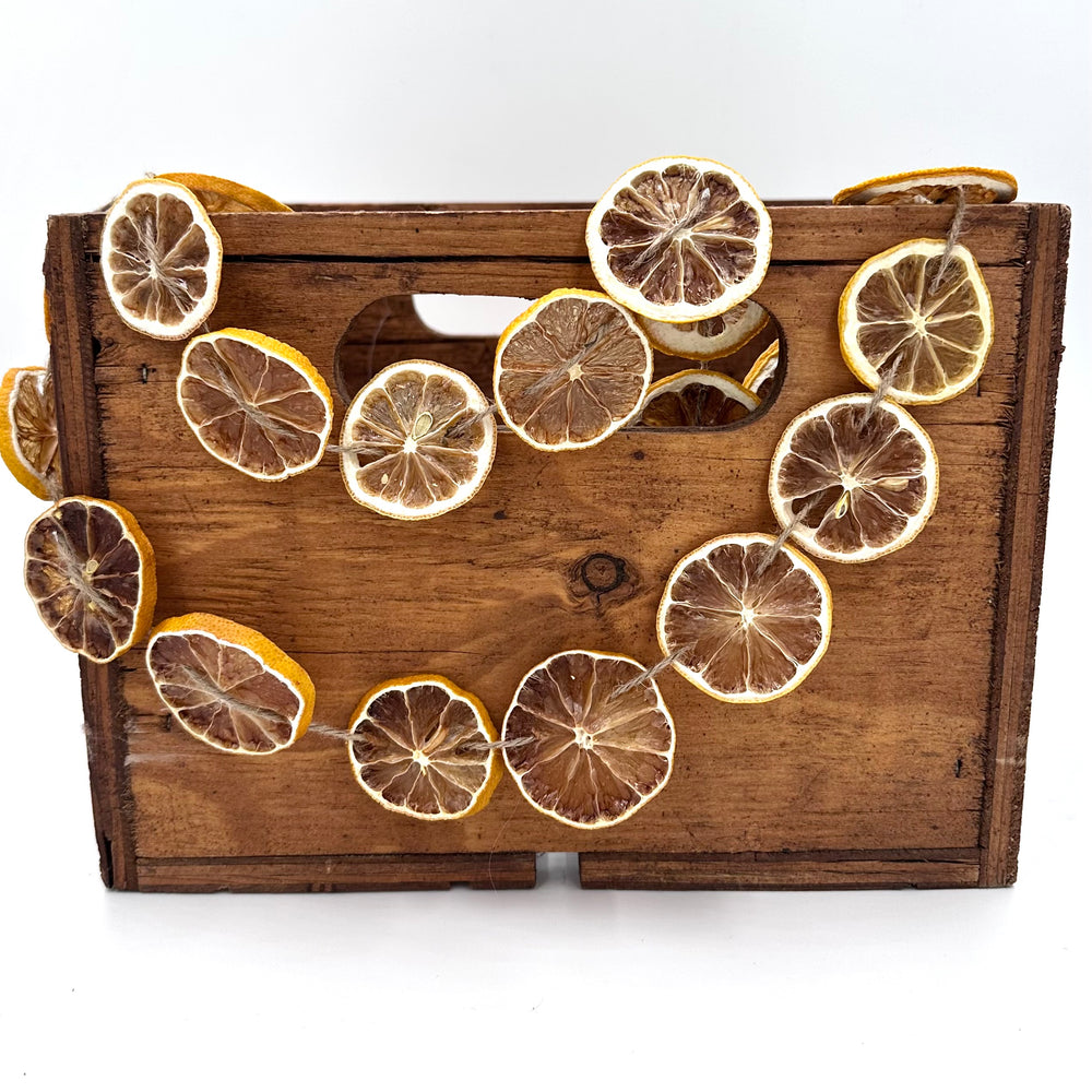 
                  
                    Dried Citrus Garland
                  
                