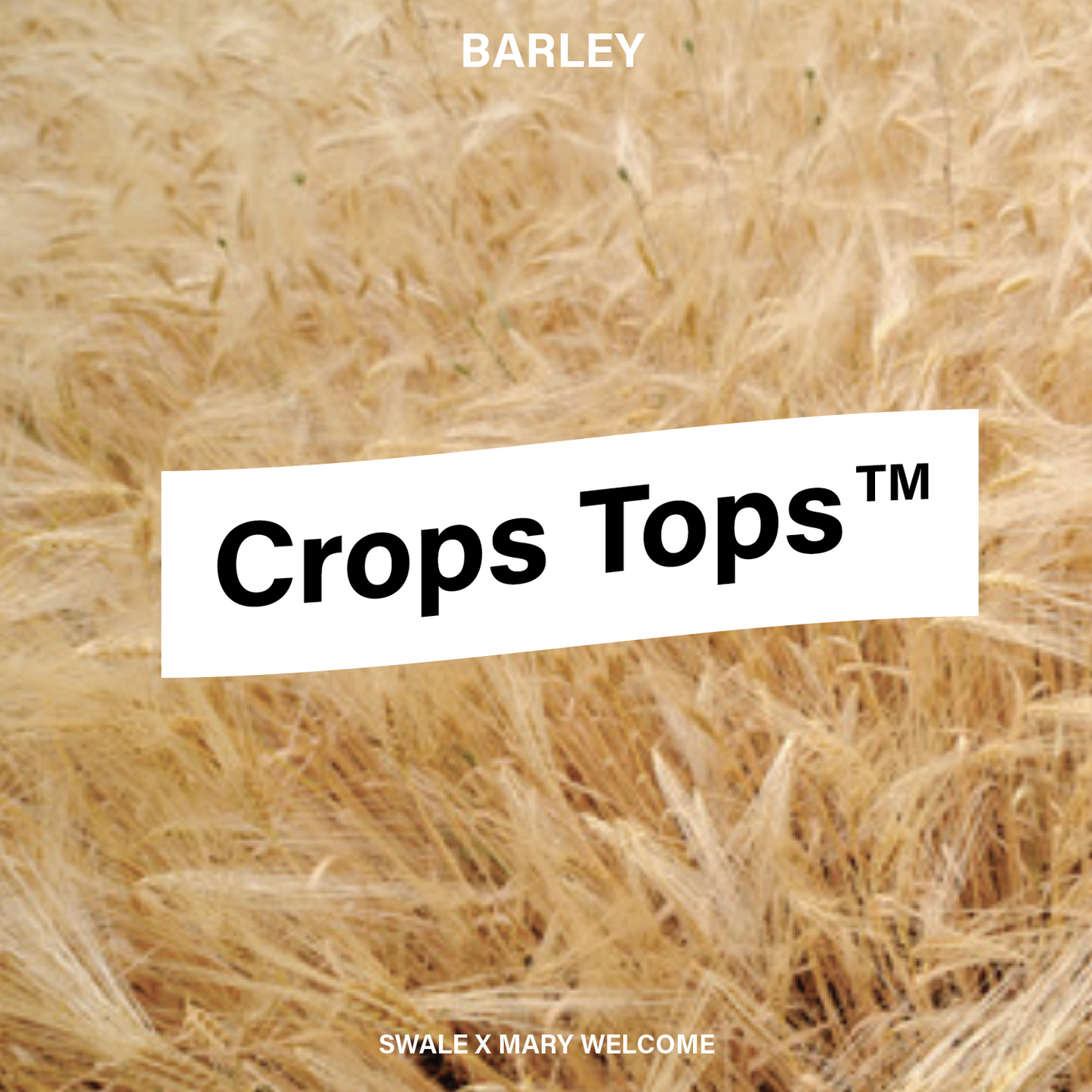 
                  
                    Crops Tops™ Pullover Hoodie :: Barley
                  
                