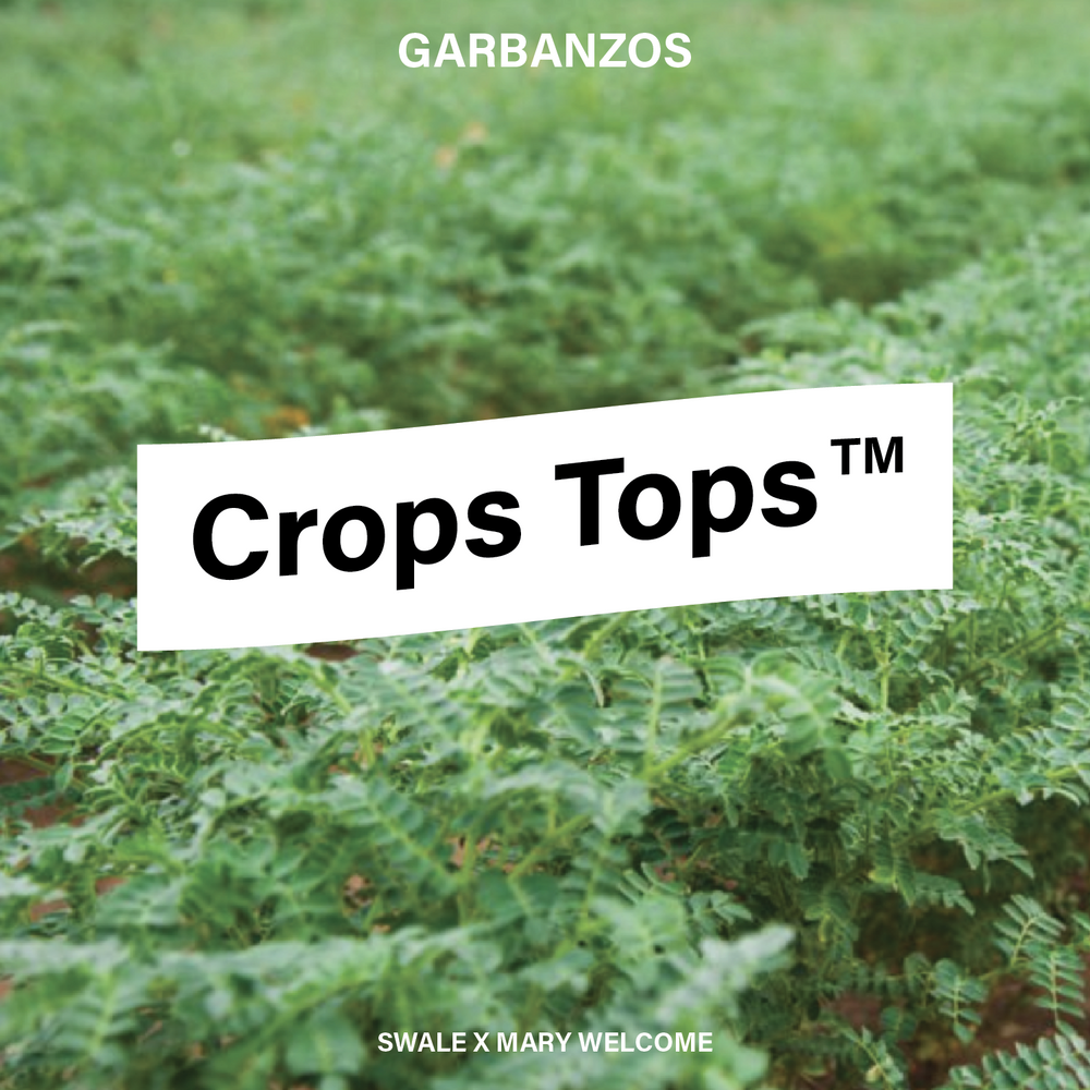 
                  
                    Crops Tops™️ Pullover Hoodie :: Garbanzos
                  
                