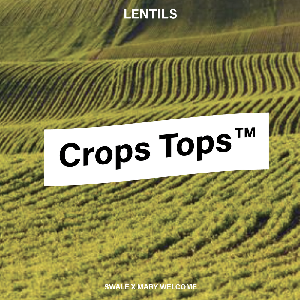 
                  
                    Crops Tops™️ Pullover Hoodie :: Lentils
                  
                