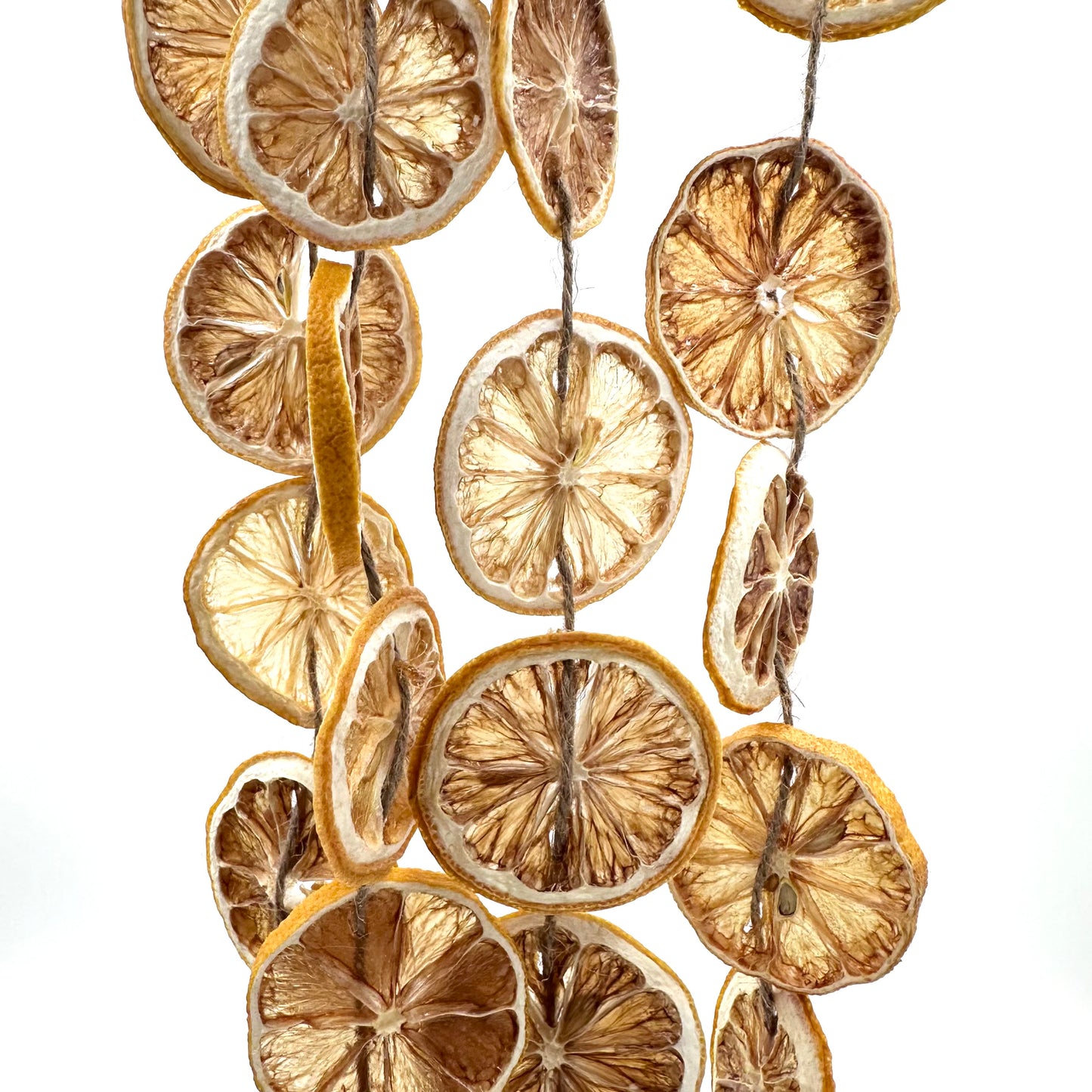 
                  
                    Dried Citrus Garland
                  
                