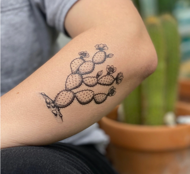 
                  
                    Prickly Pear Cactus Temp Tattoo
                  
                