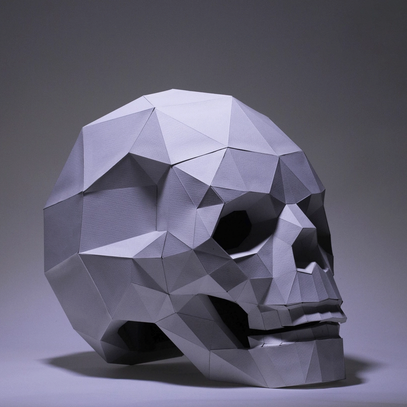 
                  
                    Skull Model Papercraft Kit
                  
                