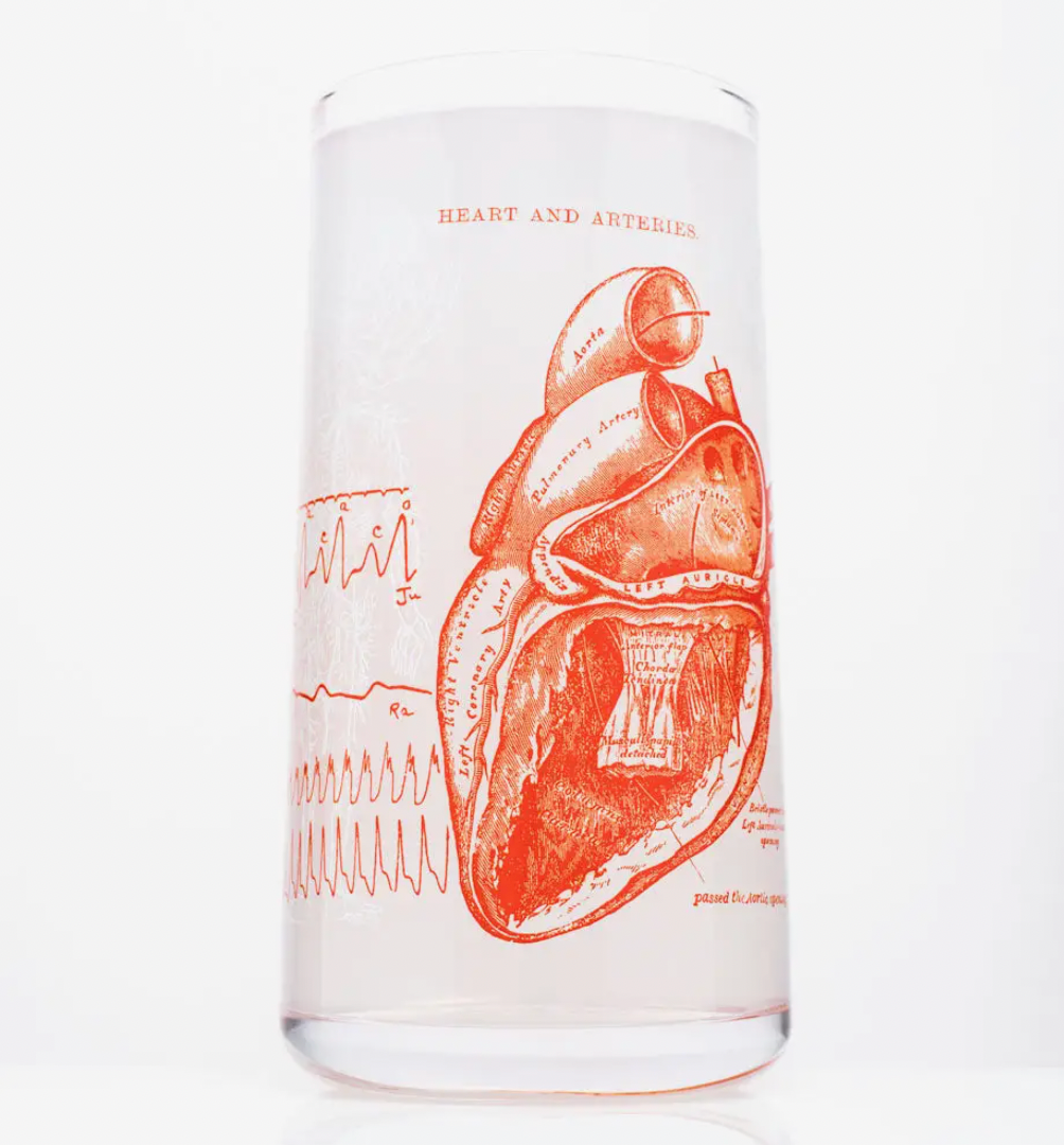 
                  
                    Drinking Glass :: Anatomical Heart
                  
                