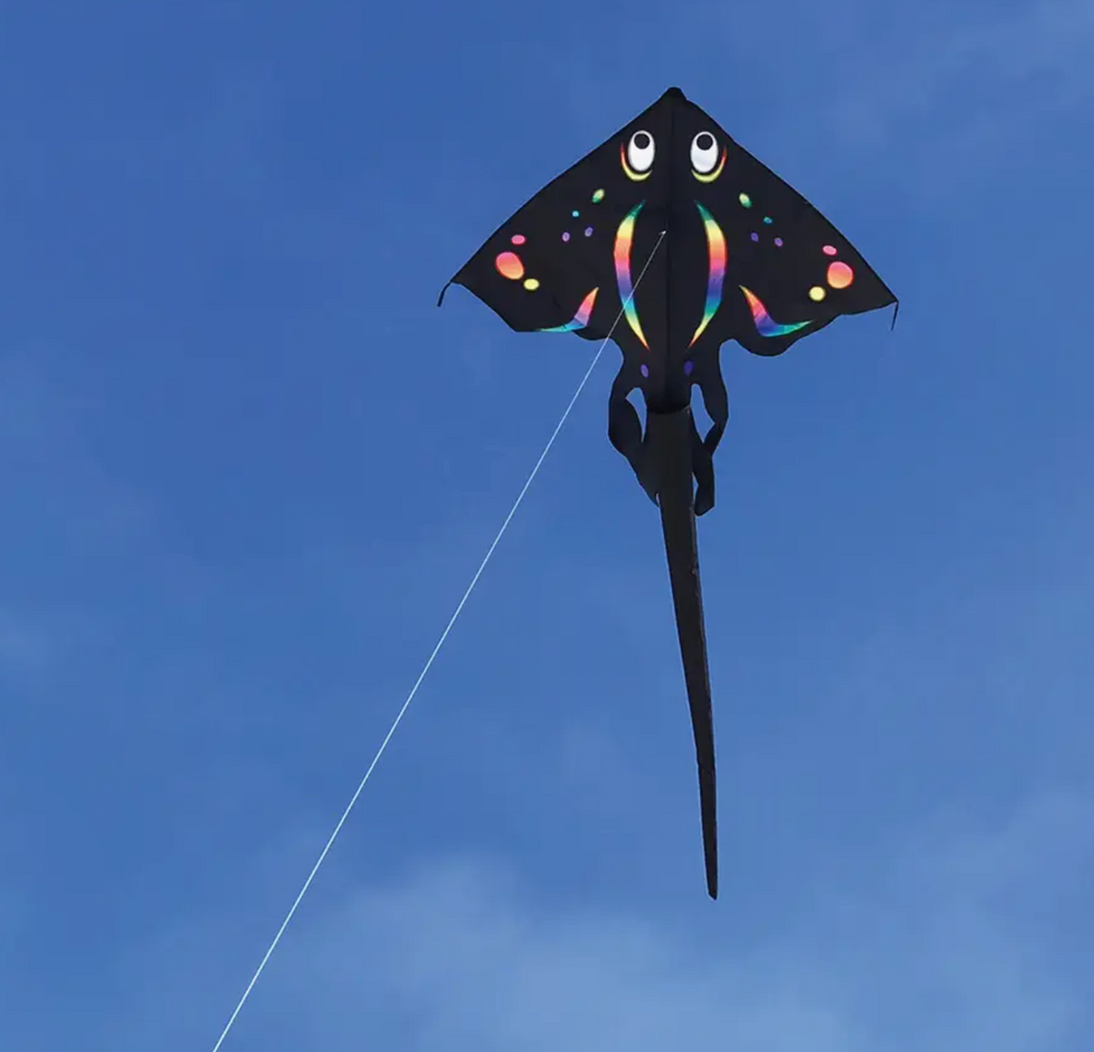 Black Stingray Kite