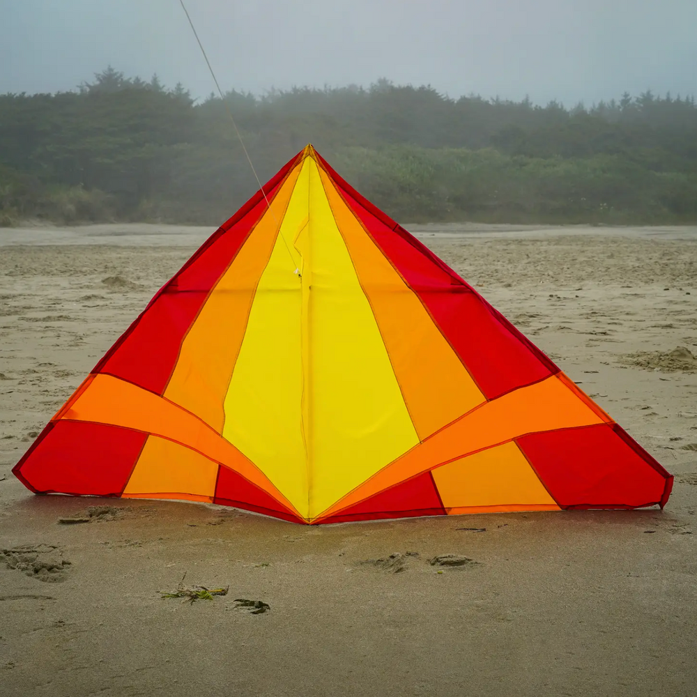 
                  
                    Hot 70" Delta Kite
                  
                