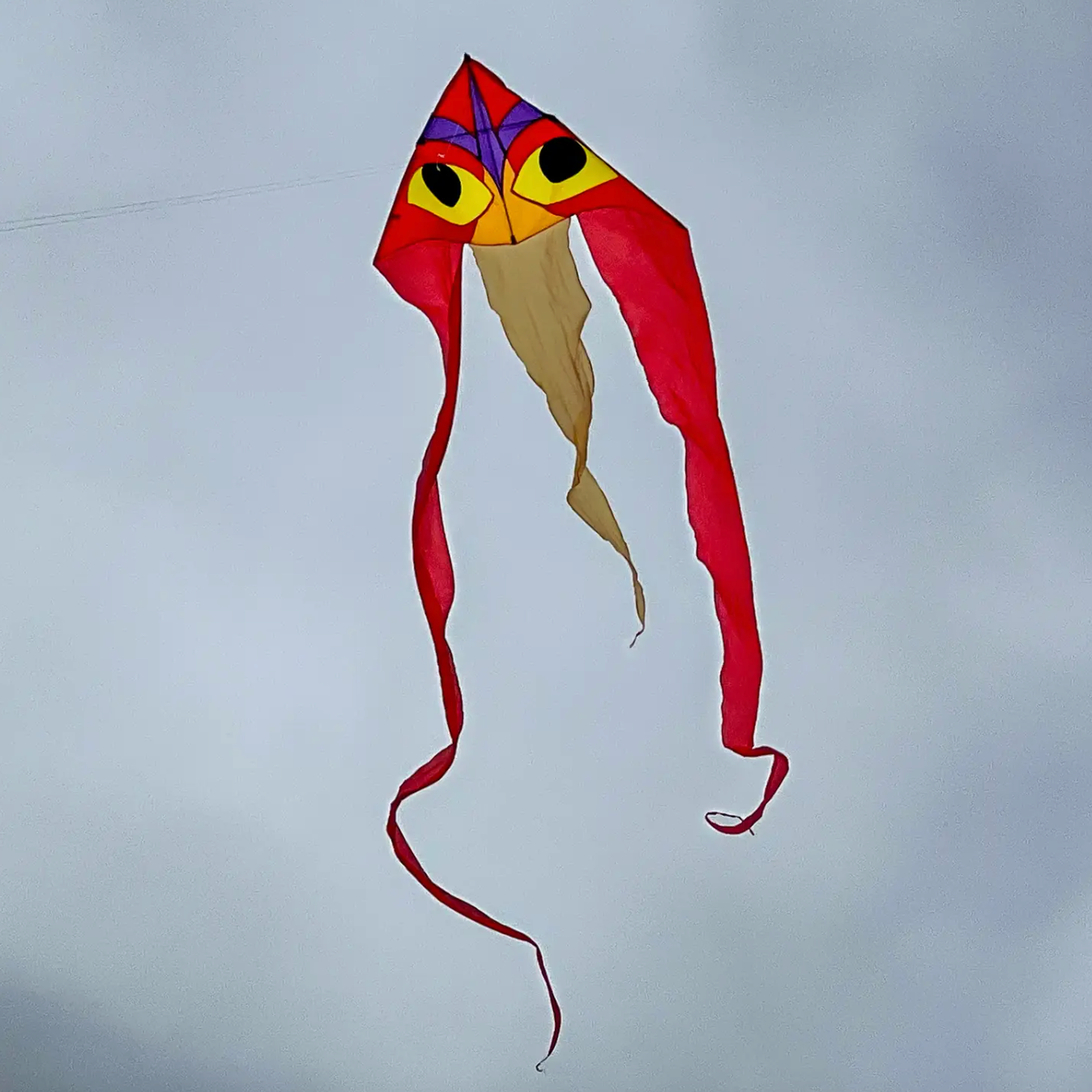 
                  
                    Ibis 52" Wave Delta Kite
                  
                