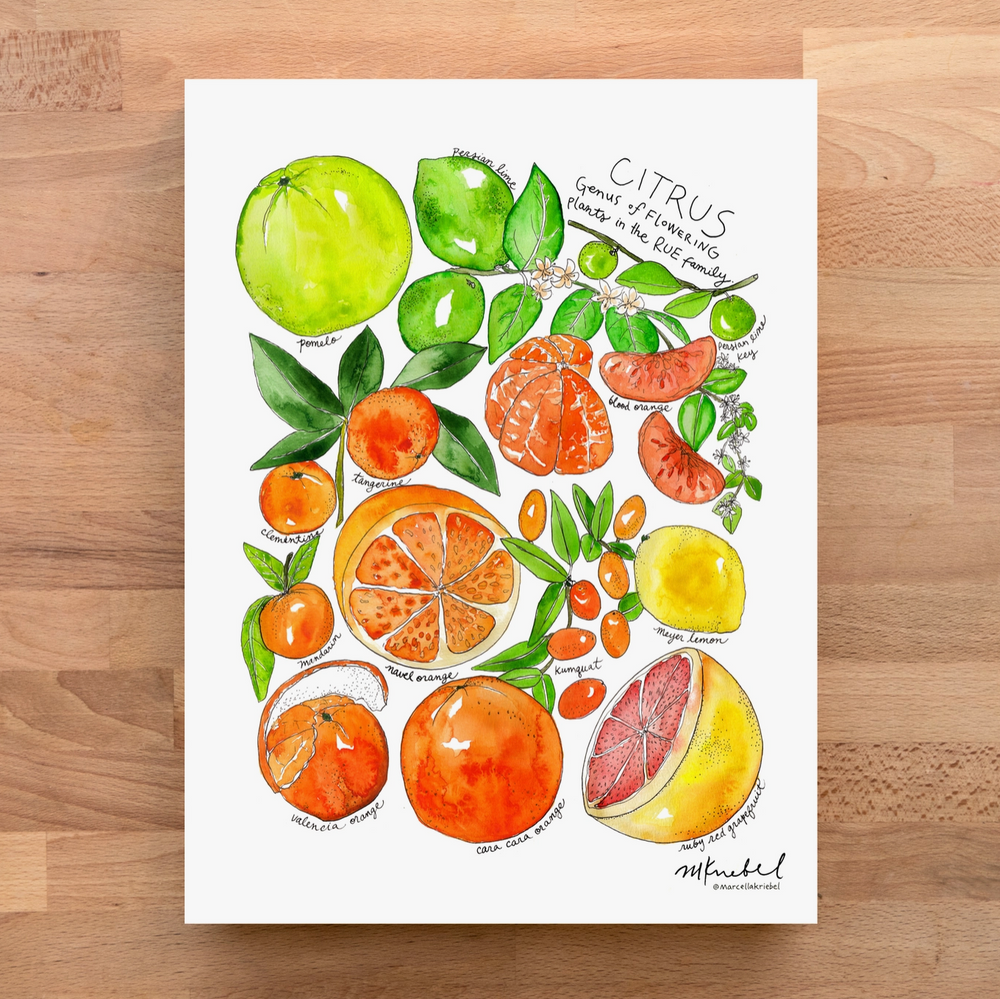 Citrus Family Print