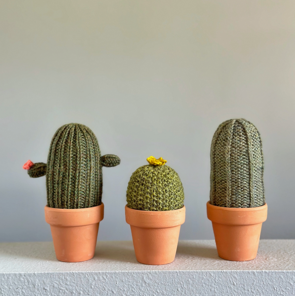 Knit Kit :: A Prickle of Cactus