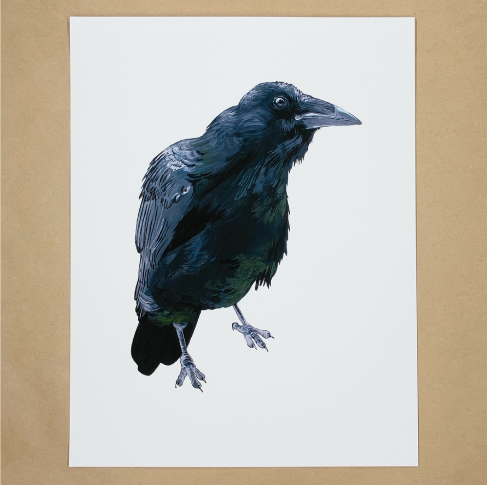 Raven Print