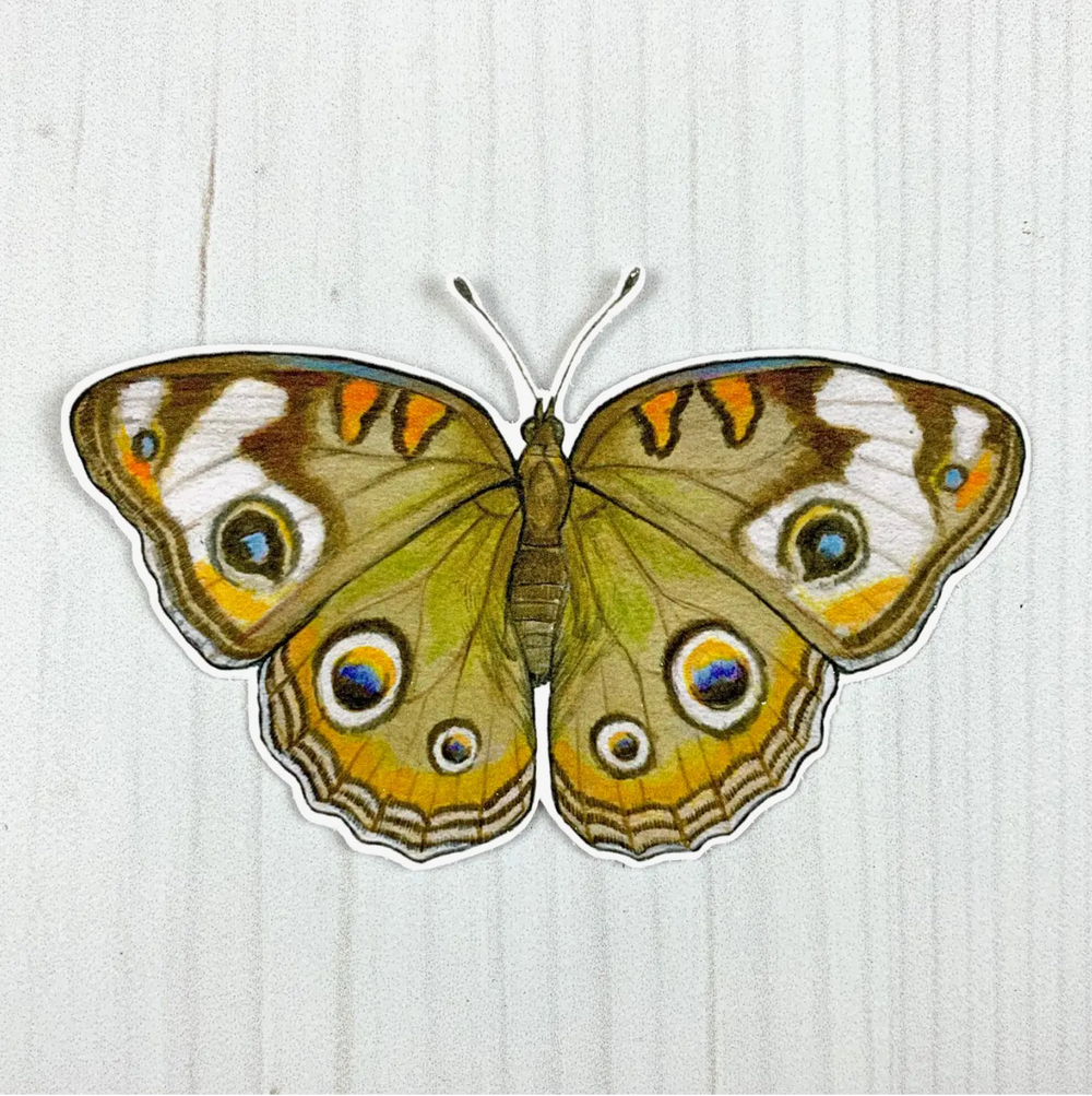 Common Buckeye Butterfly Sticker
