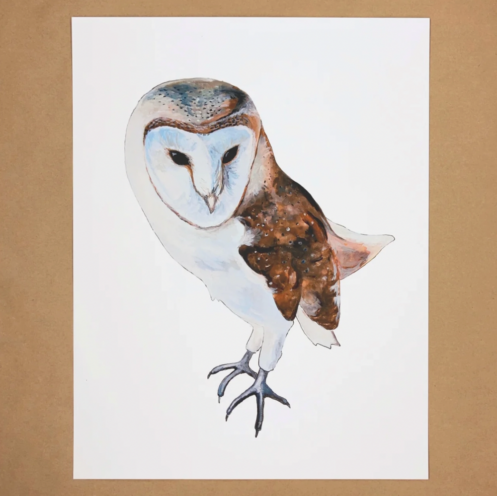 
                  
                    Barn Owl Print
                  
                