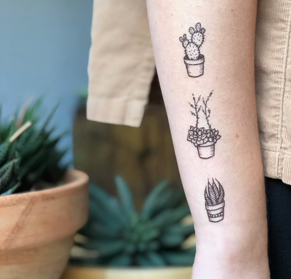 
                  
                    Potted Cactus Temp Tattoos
                  
                