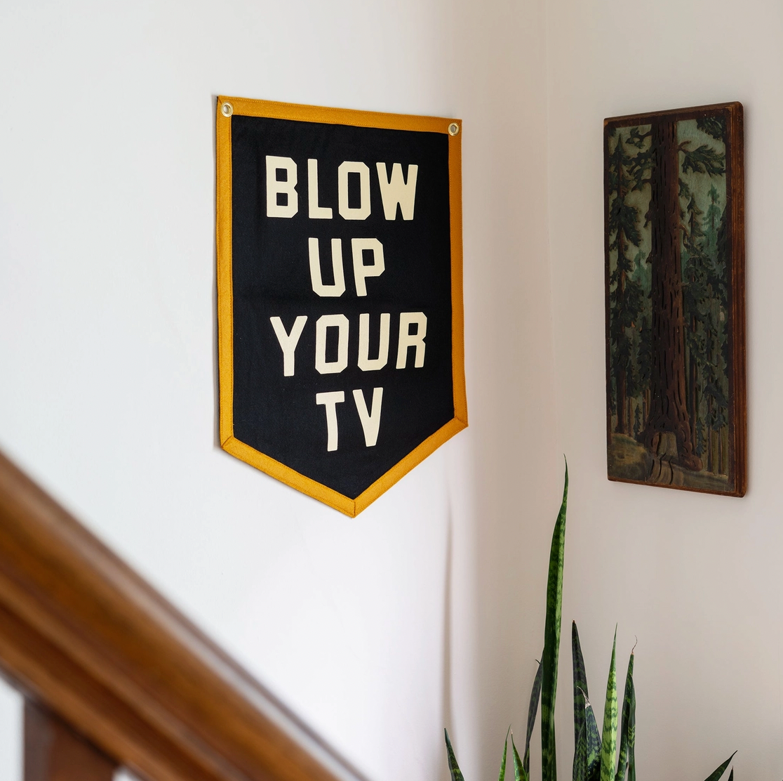 
                  
                    Camp Flag :: Blow Up Your TV
                  
                
