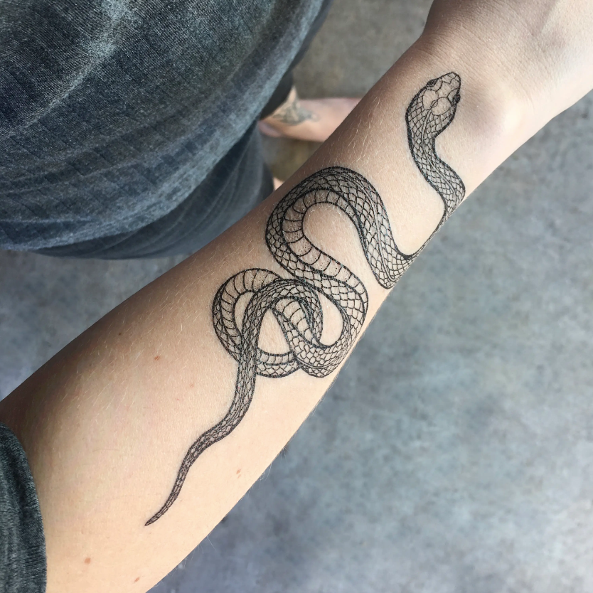 
                  
                    Garden Snake Temp Tattoo
                  
                
