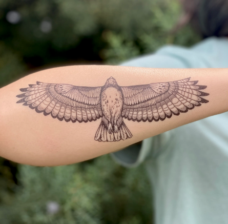 
                  
                    Hawk Temp Tattoo
                  
                