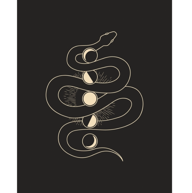 Moon Phase Snake Print