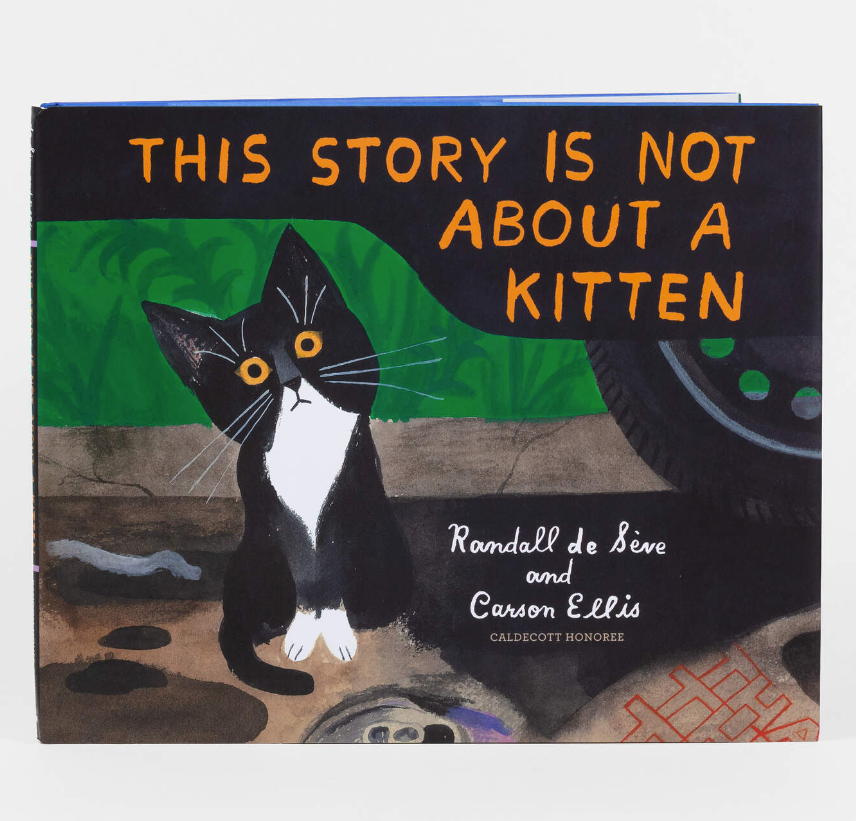 
                  
                    This Story Is Not About a Kitten Book
                  
                