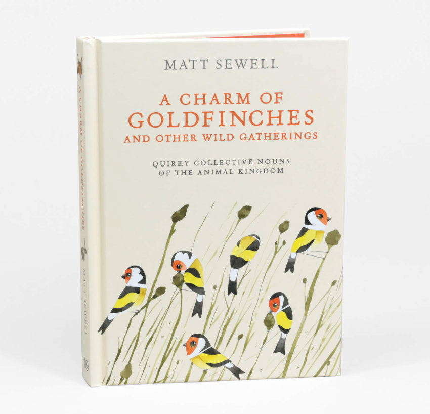 A Charm Of Goldfinches Book