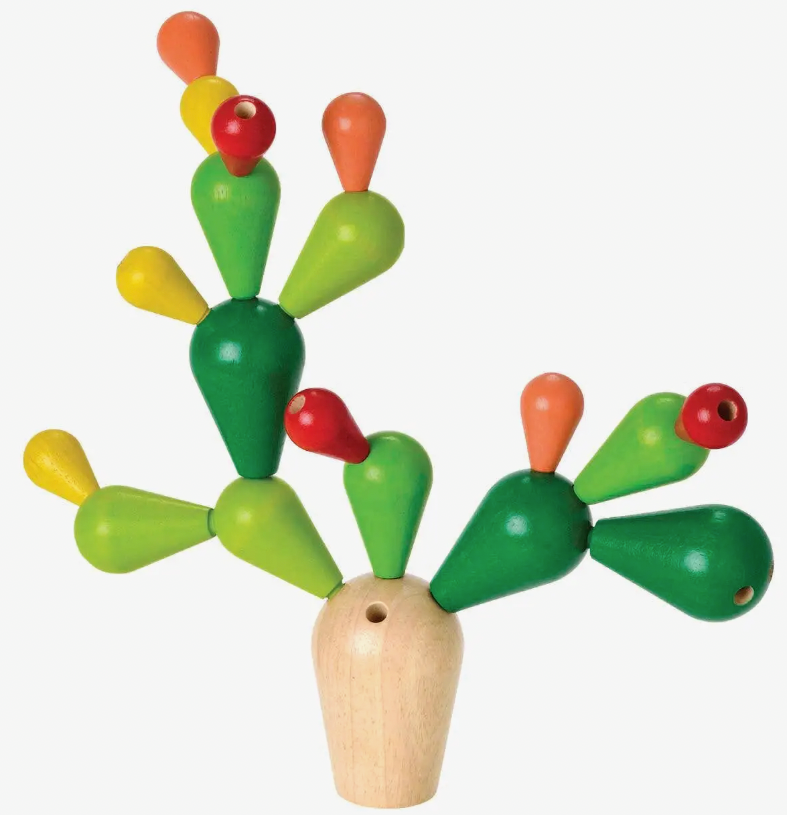 Balancing Cactus Set