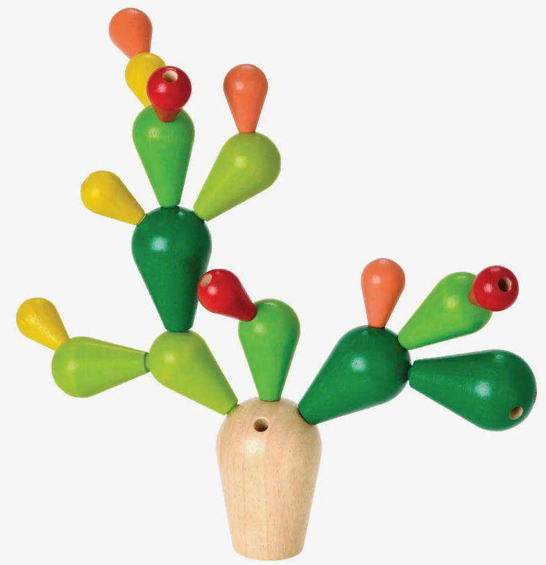 
                  
                    Balancing Cactus Set
                  
                