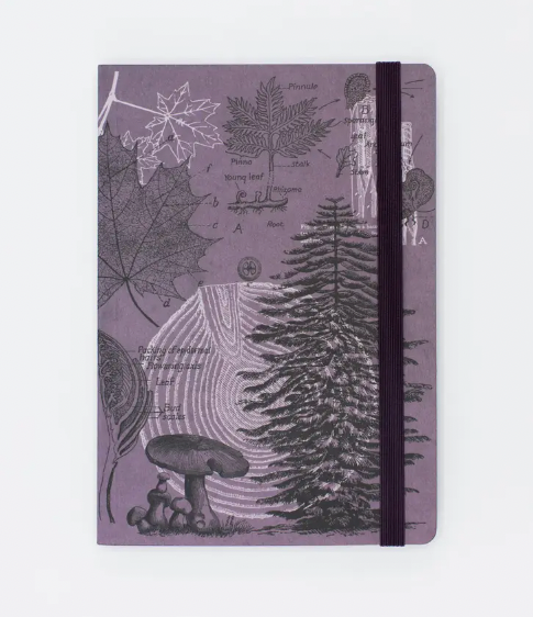 
                  
                    Softcover Analysis Journal :: Forest At Dusk
                  
                
