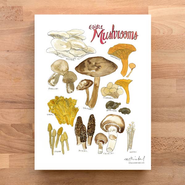 Edible Mushrooms Print