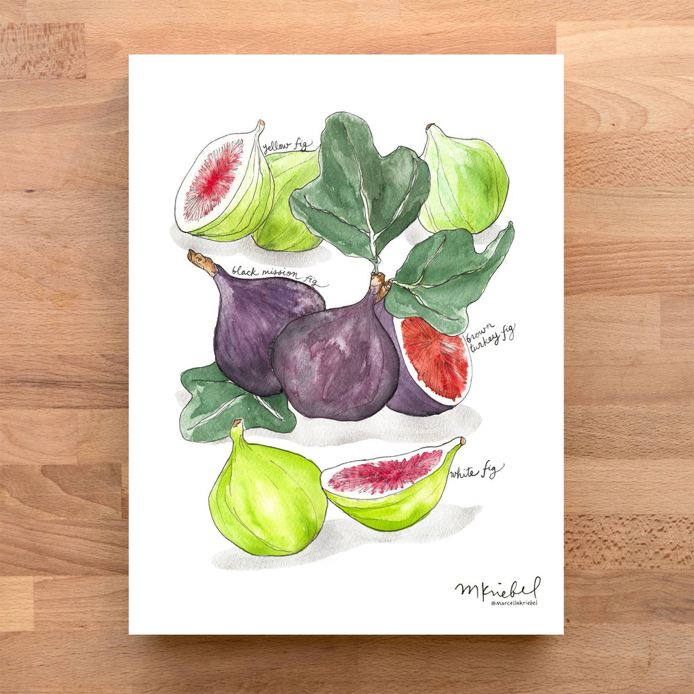 Figs Print