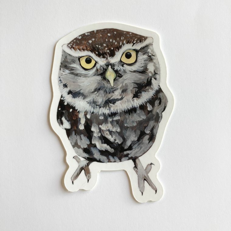Owlet Sticker