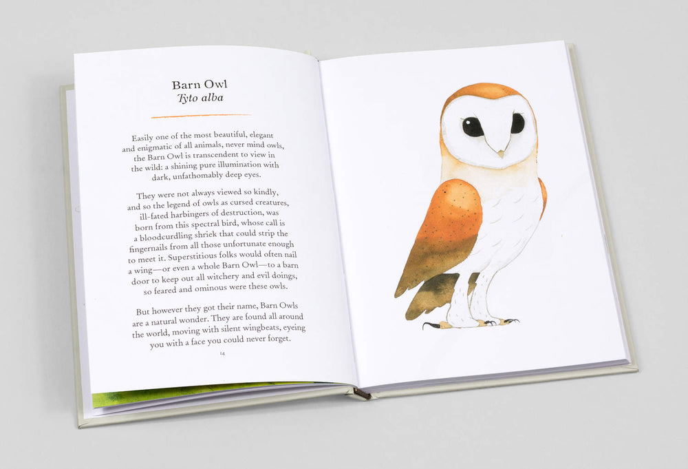 
                  
                    Owls Book
                  
                